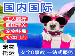 乌海机场空运国际宠物托运 【国